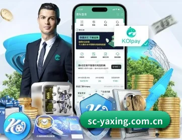 亚星官网 APP 深度功能